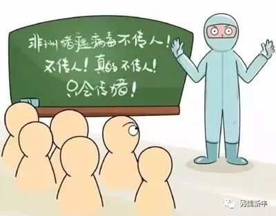 非洲猪瘟最新消息，全球防控形势与应对策略