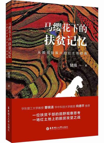 脱贫攻坚的最新消息，持续奋斗，共创繁荣新篇章